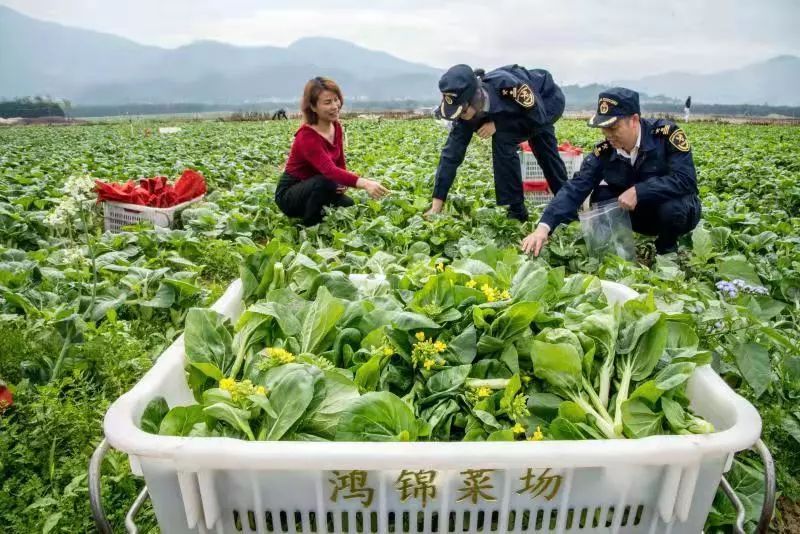 汕头海关科级干部图片_汕头海关 粤东 粤港澳大湾区